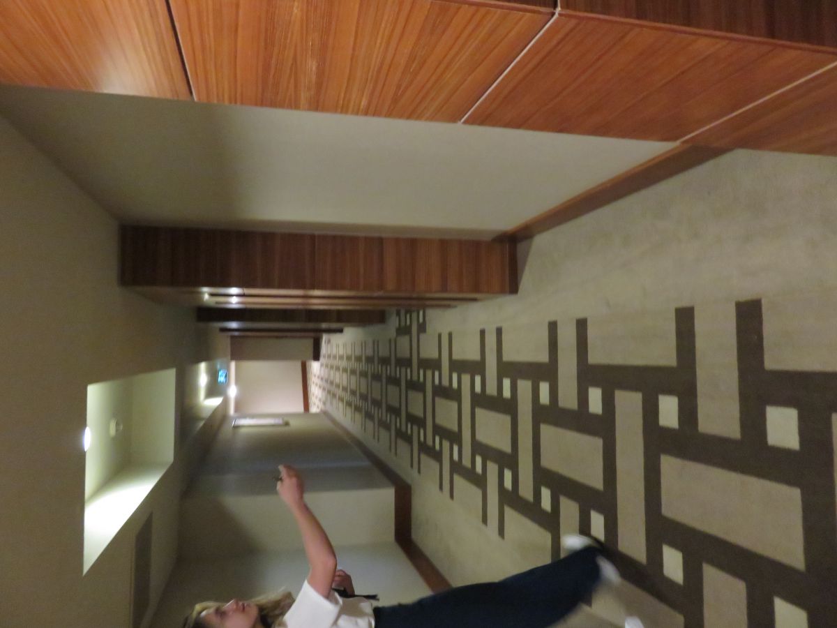 imagini hotel Hilton Sarigerme